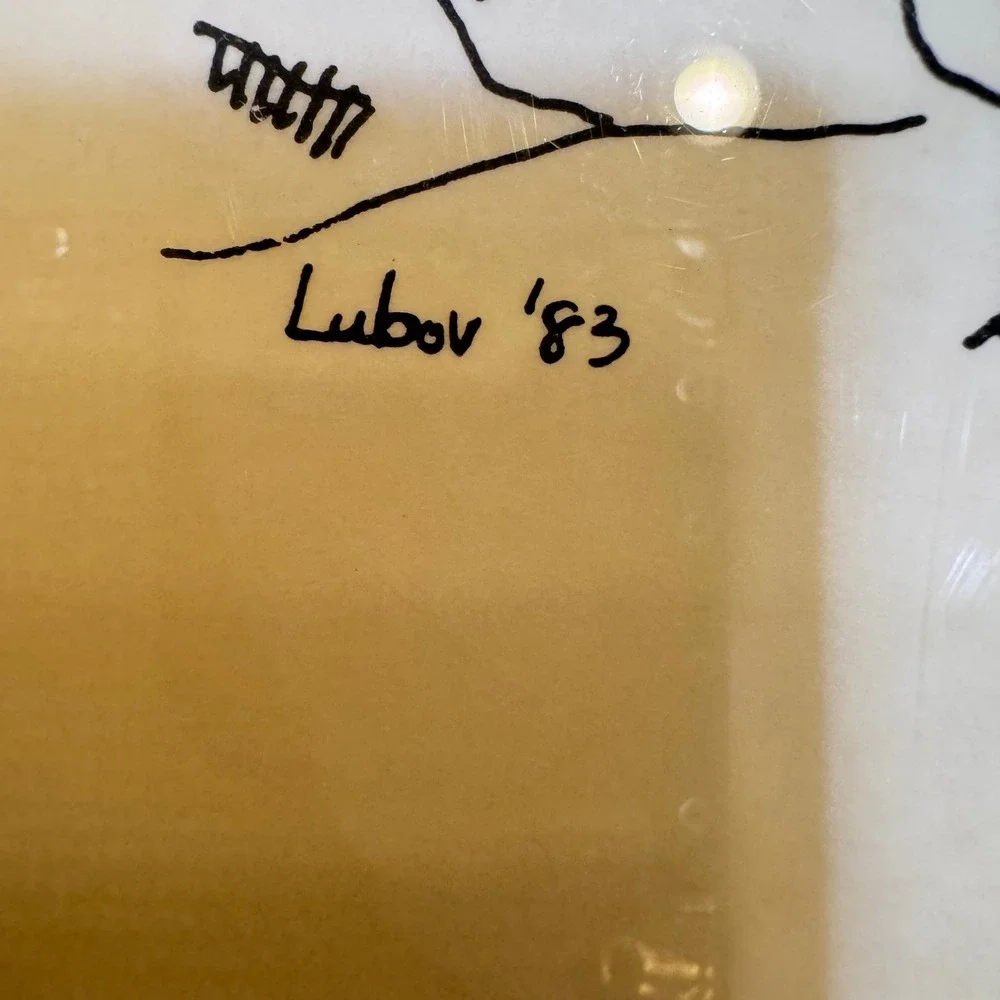 Lubov '83 Seagulls Long Island NY plastic‎ Tray Artist Signed Art